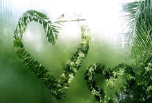 生死战亚洲杯焦点战！拜仁慕尼黑迎战莱比锡，险胜或上演的简单介绍