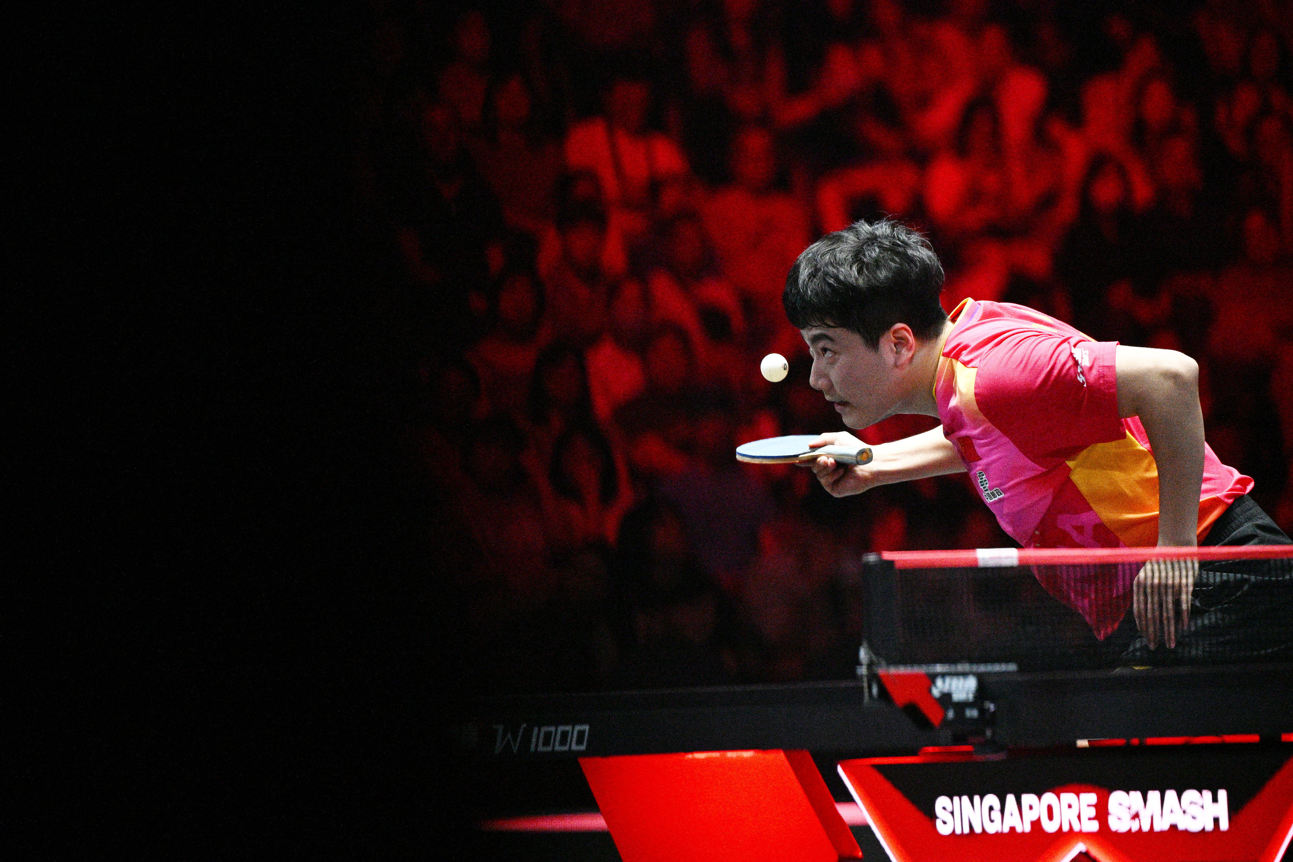 包含密尔沃基雄鹿士气爆棚,WTT大满贯常规赛遇上洛杉矶湖人,目标明确直指晋级的词条